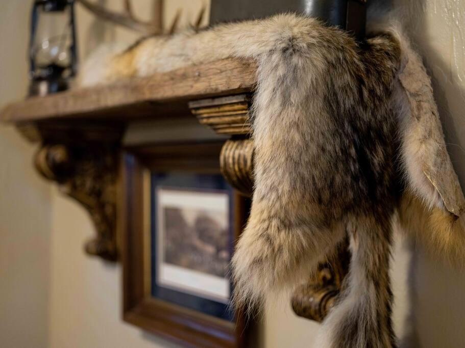 Stonegate Lodge Bear'S Den Kitchen, Pool, Firepit, Wifi ,Smart Tvs Eureka Springs Bagian luar foto